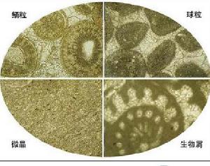 碳酸岩的基本結構