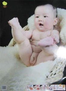 天使寶寶掛圖 天使寶寶掛圖