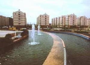 麥迪紳小區 麥迪紳小區