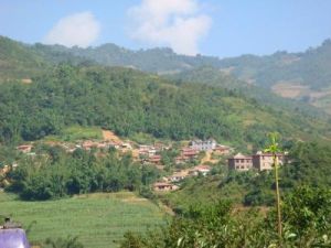 芒勐自然村 芒勐自然村