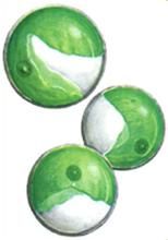 小球藻屬 小球藻屬