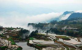 九龍山[重慶市開州區九龍山]
