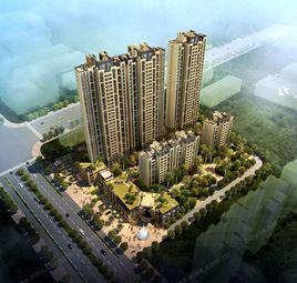 保利百合 保利百合