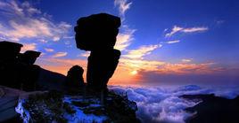 彌勒佛道場 彌勒佛道場