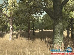 《墮落之神:天誅》