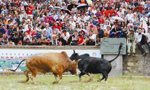 麗江小涼山彝族山寨 麗江小涼山彝族山寨