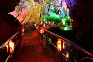 竹山洞古來稀有機養生休閒山莊 竹山洞古來稀有機養生休閒山莊