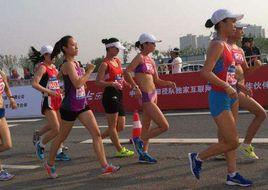 2017年全國競走冠軍賽 2017年全國競走冠軍賽
