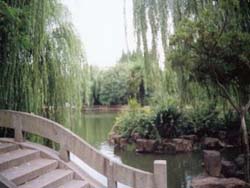 （圖）上海臨沂公園