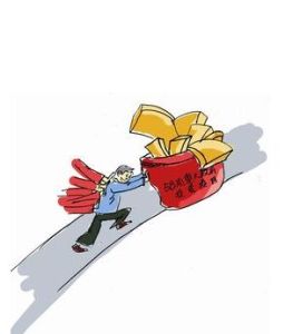 公益性項目投資