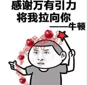 牛頓式偶遇 牛頓式偶遇