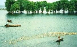 京湖洞庭酒家 京湖洞庭酒家