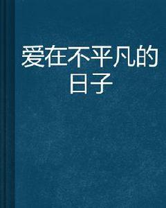 愛在不平凡的日子 愛在不平凡的日子
