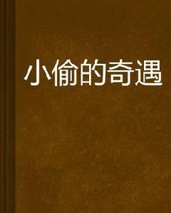 小偷的奇遇 小偷的奇遇