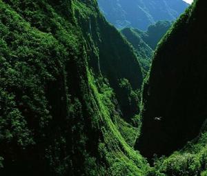 武威天祝三峽森林