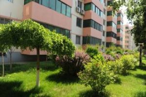 河莊坪社區 河莊坪社區