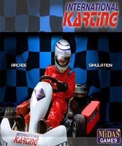 國際小型車賽 國際小型車賽