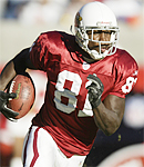 安庫安&middot;博爾丁(Anquan Boldin)外接手(WR)/81號