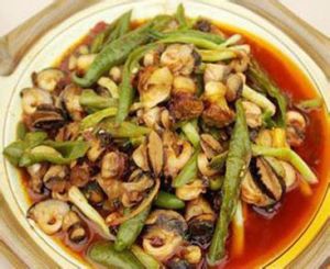 安游夜光螺 安游夜光螺