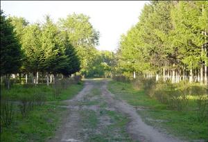 杜拜國際改善居住環境最佳範例獎 杜拜國際改善居住環境最佳範例獎