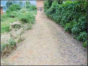 岔河山尾巴村 岔河山尾巴村