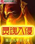 靈魂入侵 靈魂入侵