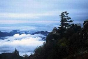 靈官峽自然保護區