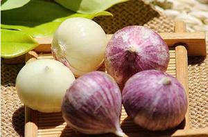 獨頭紫皮大蒜
