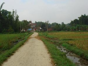 入村道路與民居