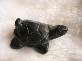 迷你烏龜 迷你烏龜