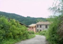 柏樹村[江西寧都縣肖田鄉下轄村]