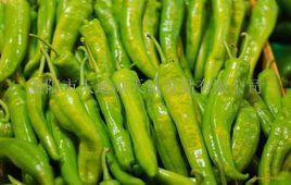 趙集鎮[安徽省阜陽市阜南縣趙集鎮]