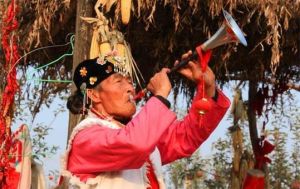 紅蘋果觀光採摘園 紅蘋果觀光採摘園