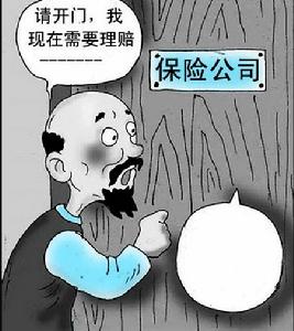 （圖）自願保險