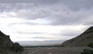 蔚縣金河口森林公園