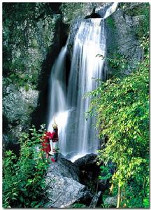 寧國市夏林村 寧國市夏林村