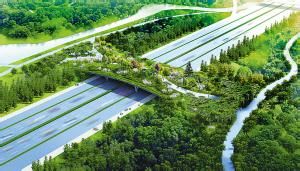 北京奧林匹克森林公園生態廊道 北京奧林匹克森林公園生態廊道