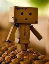 六月,傷感季節 六月,傷感季節