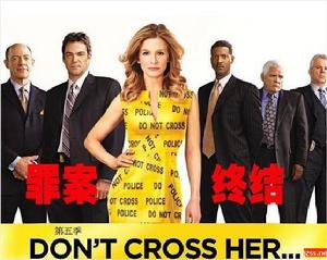 罪案終結第5季圖片