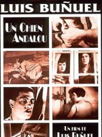 《一條安達魯狗》
