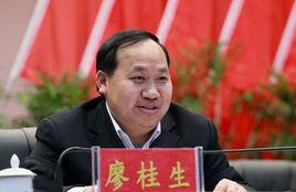 廖桂生[湖南省湘潭市委常委、組織部部長、統戰部長]