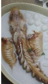 明珠奶湯桂魚 明珠奶湯桂魚