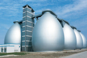 消化污泥 消化污泥