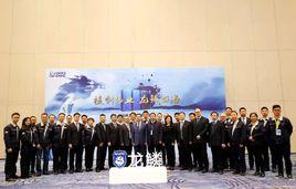 龍鱗系統 龍鱗系統