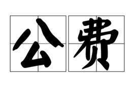 公費