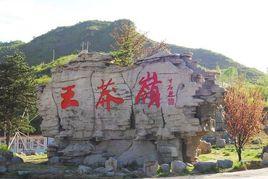 陵川王莽嶺國家地質公園 陵川王莽嶺國家地質公園