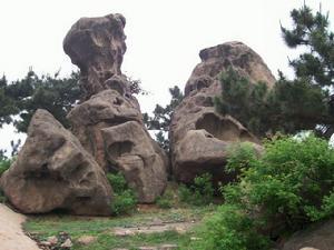 沂源縣大張莊鎮