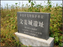 文姜城遺址 文姜城遺址