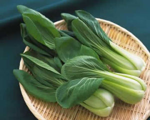 轉基因油菜 轉基因油菜