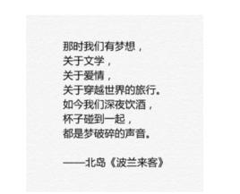 波蘭來客 波蘭來客